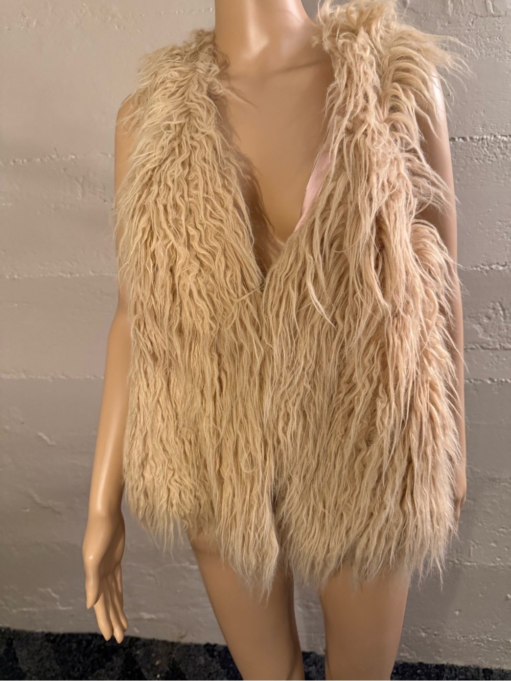 American Eagle Outfitters Faux Fur Vest in Beige